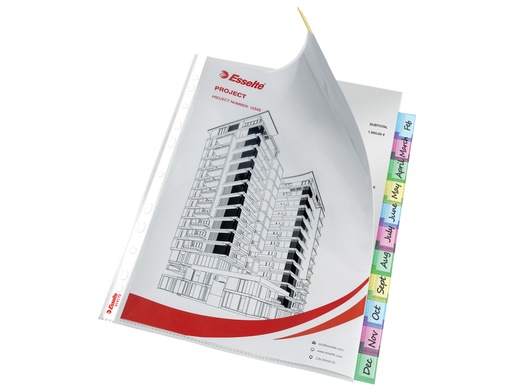 [1385702] ESSELTE - Funda Con pestaña A4 12 posiciones (Ref.414170)