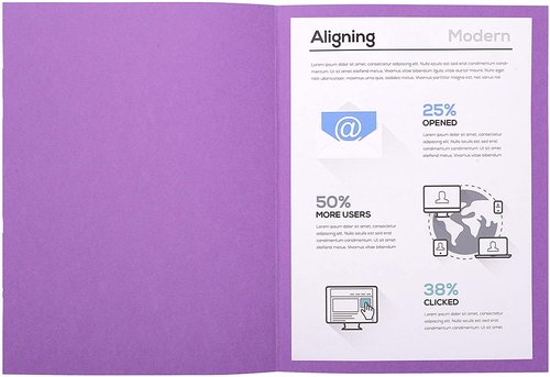 [1459412] EXACOMPTA - Subcarpetas Foldyne Caja 100 ud A4/folio Cartulina reciclada Violeta 250 G (Ref.410016E)