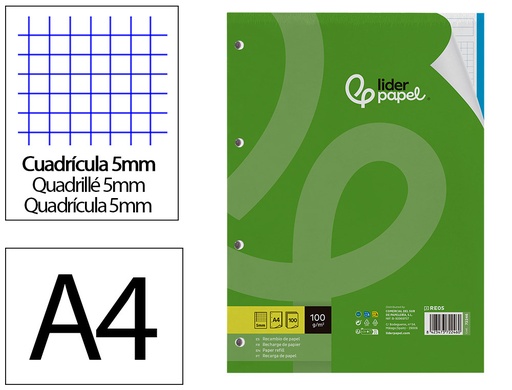 [2072246] LIDERPAPEL - RECAMBIO A4 100 HOJAS 100 G/M2 CUADRO 5 MM 4 TALADROS BANDAS DE 5 COLORES (Ref.RE05)