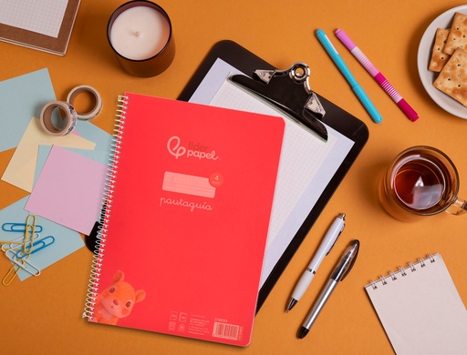 [2006480] LIDERPAPEL - Cuaderno espiral folio pautaguia tapa plastico 80h 75gr cuadro pautado 4mm con margen color rojo (Ref. BE33)
