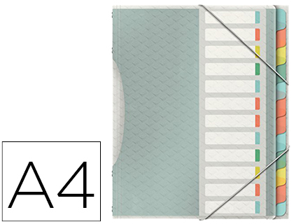 [2153813] ESSELTE - CARPETA CLASIFICADORA COLOUR ICE POLIPROPILENO DIN A4 COLOR TRANSPARENTE 12 SEPARADORES COLORES CIERRE (Ref.626256)