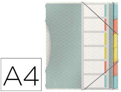 [2153812] ESSELTE - CARPETA CLASIFICADORA COLOUR ICE POLIPROPILENO DIN A4 COLOR TRANSPARENTE 6 SEPARADORES COLORES CIERRE (Ref.626255)