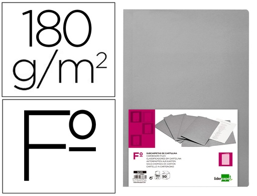 [2067867] LIDERPAPEL - SUBCARPETA FOLIO GRIS INTENSO 180G/M2 (Ref.SC25)