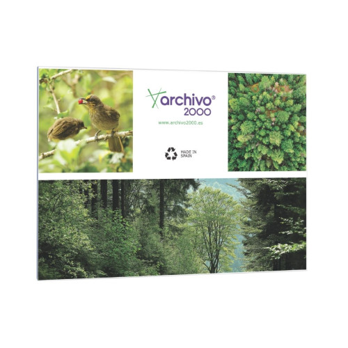 ARCHIVO 2000 - PORTAFOLLETOS MURAL PREMIUM A5 HORIZONTAL ADHESIVO 210x150MM 6155ACSTP (Ref.6155A CS TP)