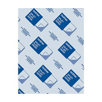 BROTHER - Papel Inkjet A3 250h 72,5g/m2 (Ref.BP60PA3)