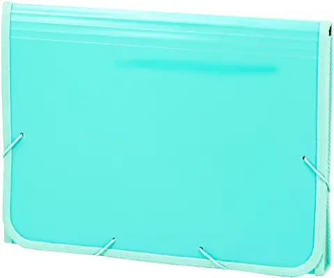 CARCHIVO - ACORDEON POLIPROPILENO SOFT FOLIO 13 DEPARTAMENTOS RIBETE GOMA MENTA (Ref.19260017)