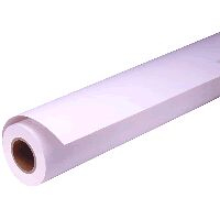 EPSON - GF Papel Premium Glossy Photo, Rollo de 16 x 30,5m - 250g/m2 (Ref.C13S041742)