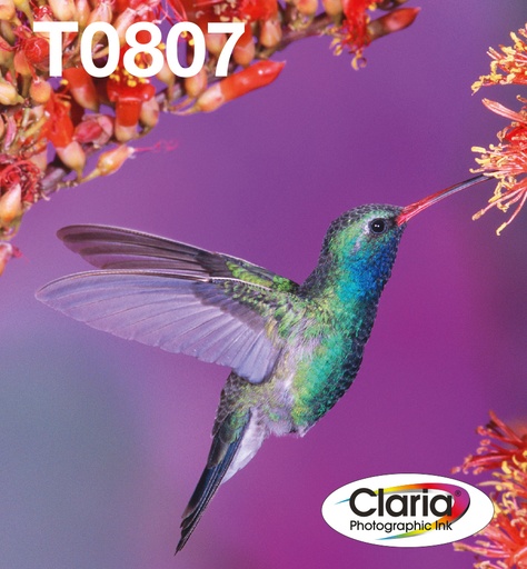 EPSON - T080 Hummingbird multipack in Easy Mail packaging (Ref.C13T08074510)