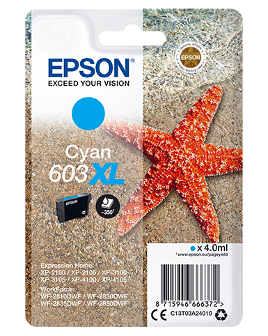 EPSON - tinta Cyan XL Estrella de mar 1 tinta 603XL RF / AM Single (Ref.C13T03A24020)