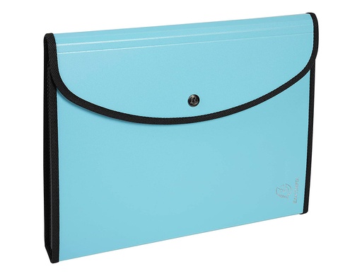 EXACOMPTA - CLASIF.ACORD. A4 6 DP.SURT. (Ref.56660E)