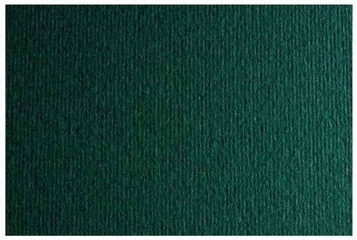 FABRIANO - CARTULINA 50x70 cm SIRIO 220g LISO/RUGOSO HIERRO (FERRO) PAQUETE de 20 (Ref.F42450722)