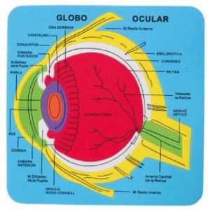 FIXO - GOMA EVA PUZZLE 21,2x21,5 cm. SISTEMA OCULAR (Ref.5033/68003700)