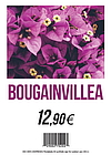 FLORALABELS - Floralabels A5 148 x 210 mm Carteles impermeables, calidad Floralabels L1 OKIMED64 (Ref.3011)