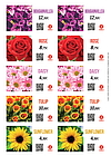 FLORALABELS - Etiqueta autoadhesiva 97,5 x 57 mm, 10 por hoja OKIMED31 (Ref.3007)