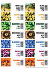 FLORALABELS - Etiquetas de borde de estanteria 105 x 38 mm, 14 por hoja OKIMED30 (Ref.3116)