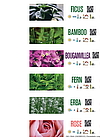 FLORALABELS - Etiquetas de lazo 33x250 mm, 6 por hoja (Ref.OKIMED32)