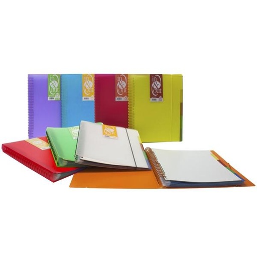 GRAFOPLÁS - CARPETA IN & OUT PP TRANSLÚCIDO RÍGIDO 5 SEPARADORES A4 CON 50 FUNDAS REMOVIBLES NATURAL (Ref.39425000)