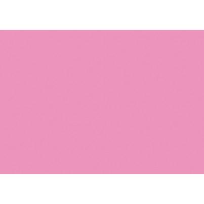 IRIS - CARTULINA 29,7X42CM 185GR ROSA CHICLE -50U- (Ref.C32127S015)