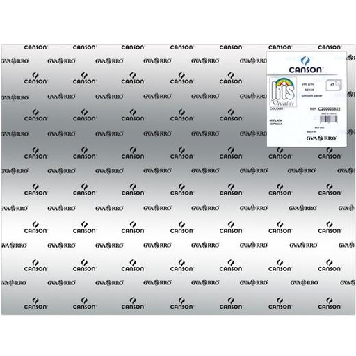 IRIS - CARTULINA 50X65CM 280 GRIS PLATA -25U- (Ref.C200005822)