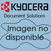 KYOCERA MITA - -MITA KM-P4850/4845 / KM-4850w Revelador (Ref.370AD100)