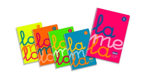 LAMELA - BLOC tapa POLIPROPILENO 4º 80h CUADROVIA 2,5 mm COLORES SURTIDOS (5) (Ref.7CTP002S)