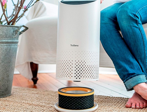 LEITZ - FILTRO HEPA PARA PURIFICADOR DE AIRE PEQUEÑO Z-1000 PARA OLORES Y COVID (Ref.2415121)