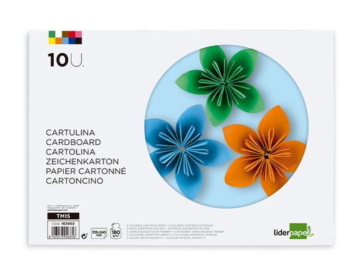 LIDERPAPEL - BLOC TRABAJOS MANUALES CARTULINA 240X315MM 10 HOJAS 5 COLORES NEON + 5 COLORES INTENSOS (Ref.TM15)