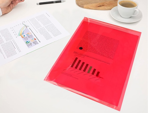 LIDERPAPEL - CARPETA DOSSIER BROCHE TRANSPARENTE DIN A4 PAQUETE DE 12 UNIDADES COLORES SURTIDOS (Ref.DS90)