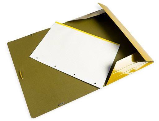 LIDERPAPEL - CARPETA GOMAS FOLIO 3 SOLAPAS CARTON PLASTIFICADO COLOR AMARILLO (Ref.CG96)