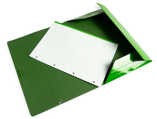 LIDERPAPEL - CARPETA GOMAS FOLIO 3 SOLAPAS CARTON PLASTIFICADO COLOR VERDE (Ref.CG00)