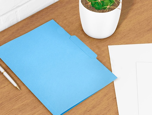 LIDERPAPEL - SUBCARPETA CARTULINA FOLIO PESTAÑA CENTRAL 240G/M2 AZUL (Ref.SC46)