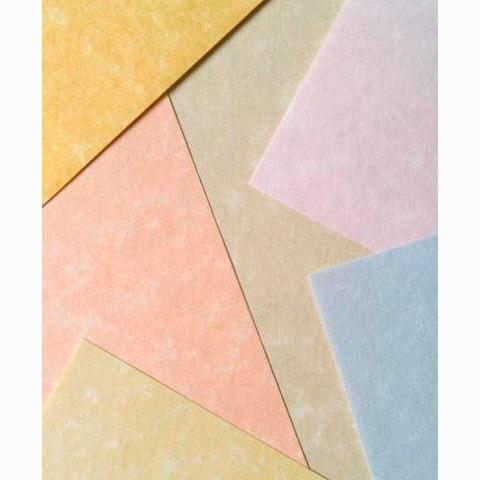 MICHEL - PAPEL PARCHMENT 180GR A4 PACK 100U BLANCO (Ref.9918229)