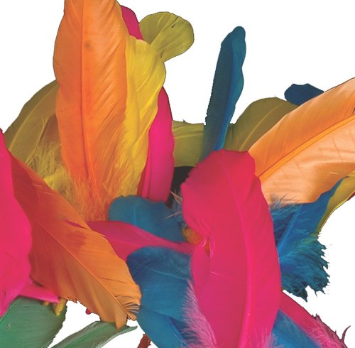 NIEFENVER - PLUMAS INDIO BOLSA DE 50 UD (6 colores surtidos) (Ref.0900208)