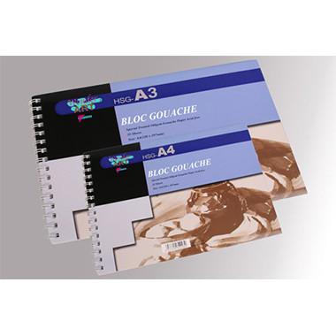 PRYSE - papel decorativo Bloc de hojas de papel para bellas artes 32 hojas (Ref.6230042)