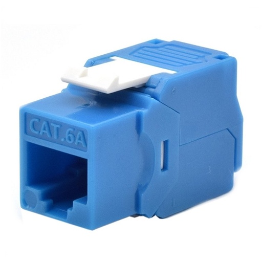 WP - Keystone Cat. 6a UTP RJ45/Hembra Azul (Ref.C-KEY-6AUP-TL/B)
