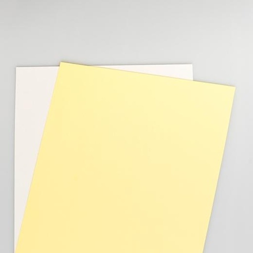 XEROX - PREALZADO STRAIGHT 2 HOJAS CARBONLESS, CB BLANCA, CF AMARILLA DIN A4 80 GR. 5 PAQUETE DE 500 HOJAS 250 JUEGOS (Ref.003R99105)