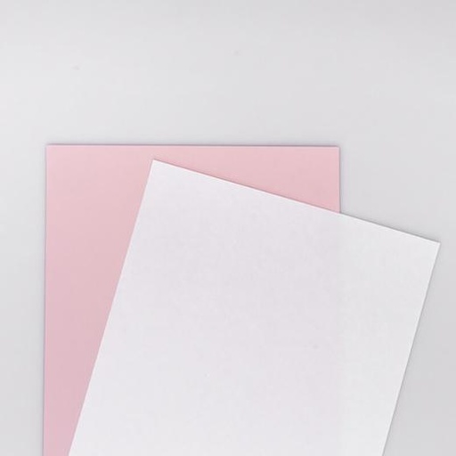XEROX - PREALZADO STRAIGHT 2 HOJAS CARBONLESS, CB BLANCA, CF ROSA DIN A4 80 GR. 5 PAQUETE DE 500 HOJAS 250 JUEGOS (Ref.003R99107)